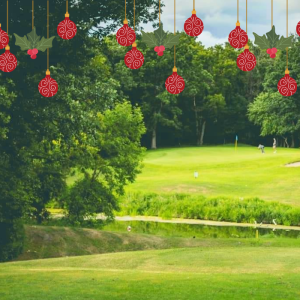 holiday lights above course green